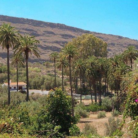 Casa Rural El Olivar La Molienda Santa Lucia Eksteriør billede