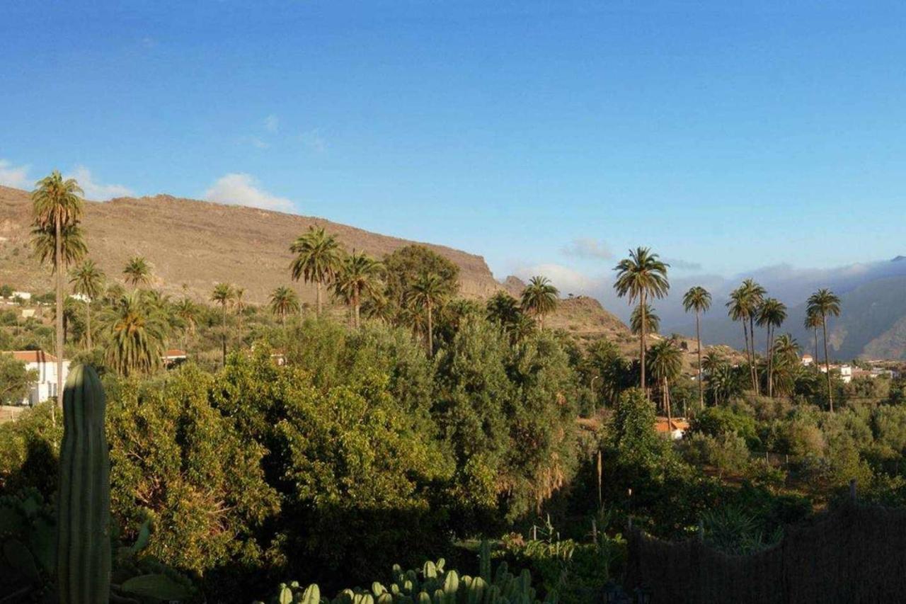 Casa Rural El Olivar La Molienda Santa Lucia Eksteriør billede